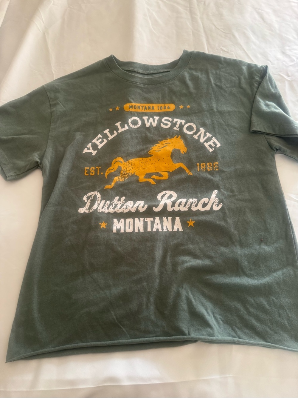 Yellowstone Dutton Ranch Kids Graphic Tee - Green